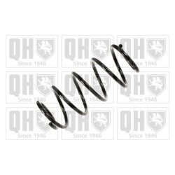 Suspension Spring QUINTON HAZELL QCS6979 OE Ref 312839 QUINTON HAZELL