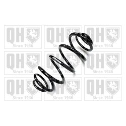 Suspension Spring QUINTON HAZELL QCS7008 OE Ref 13333951