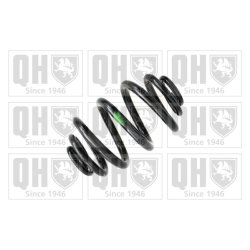 Suspension Spring QUINTON HAZELL QCS7028 OE Ref 33536756976 QUINTON HAZELL