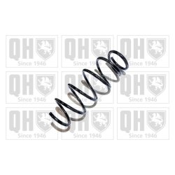 Suspension Spring QUINTON HAZELL QCS7029 OE Ref 481310D320