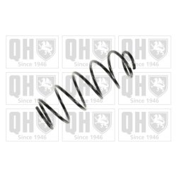 Suspension Spring QUINTON HAZELL QCS7053 OE Ref Q0009249V003000000 QUINTON HAZELL