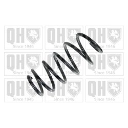 Suspension Spring QUINTON HAZELL QCS7066 OE Ref 312303