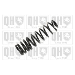Suspension Spring QUINTON HAZELL QCS7075 OE Ref 333511105