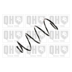 Suspension Spring QUINTON HAZELL QCS7116 OE Ref 46544489