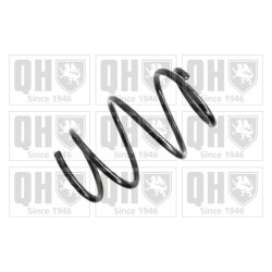 Suspension Spring QUINTON HAZELL QCS7125 OE Ref 31336760623