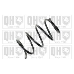 Suspension Spring QUINTON HAZELL QCS7135 OE Ref 31336769005