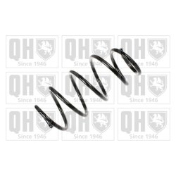 Suspension Spring QUINTON HAZELL QCS7157 OE Ref 32016015