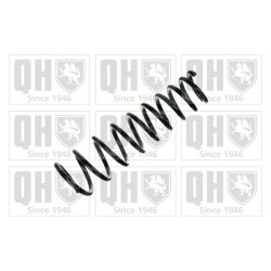 Suspension Spring QUINTON HAZELL QCS7168 OE Ref 51772433