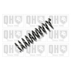 Suspension Spring QUINTON HAZELL QCS7172 OE Ref 1243241104