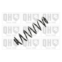 Suspension Spring QUINTON HAZELL QCS7185 OE Ref 1K0511115BC