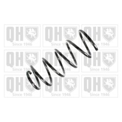 Suspension Spring QUINTON HAZELL QCS7197 OE Ref 6K0411105H