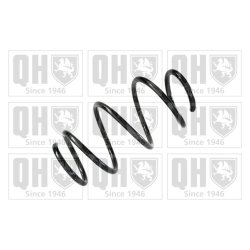 Suspension Spring QUINTON HAZELL QCS7201 OE Ref 31336851717 QUINTON HAZELL