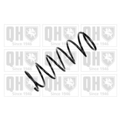 Suspension Spring QUINTON HAZELL QCS7207 OE Ref 5002AE