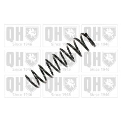 Suspension Spring QUINTON HAZELL QCS7233 OE Ref 33531093635