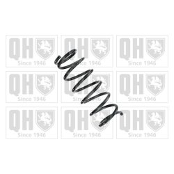 Suspension Spring QUINTON HAZELL QCS7254 OE Ref 4131183E00 QUINTON HAZELL
