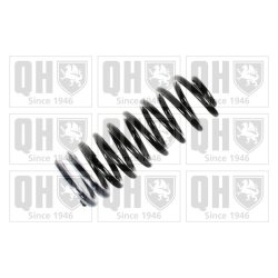 Suspension Spring QUINTON HAZELL QCS7268 OE Ref 191511115P
