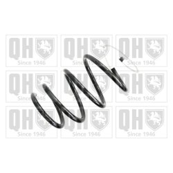 Suspension Spring QUINTON HAZELL QCS7276 OE Ref 540100052R