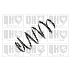 Suspension Spring QUINTON HAZELL QCS7318 OE Ref 1K0411105DG