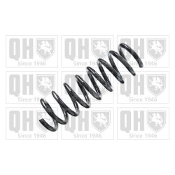 Suspension Spring QUINTON HAZELL QCS7325 OE Ref 2023242804 QUINTON HAZELL