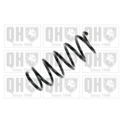 Suspension Spring QUINTON HAZELL QCS7332 OE Ref 48131B2090