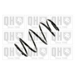 Suspension Spring QUINTON HAZELL QCS7379 OE Ref 31331091534