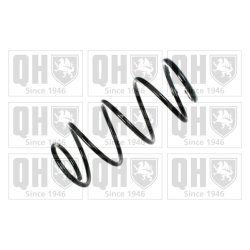 Suspension Spring QUINTON HAZELL QCS7398 OE Ref 30884190