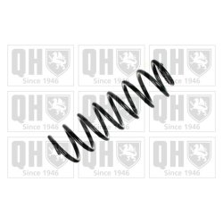 Suspension Spring QUINTON HAZELL QCS7401 OE Ref 1683241604 QUINTON HAZELL