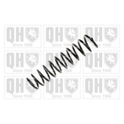 Suspension Spring QUINTON HAZELL QCS7422 OE Ref M818685 QUINTON HAZELL