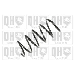 Suspension Spring QUINTON HAZELL QCS7449 OE Ref 7700412403