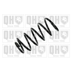 Suspension Spring QUINTON HAZELL QCS7459 OE Ref 6K0411105E951