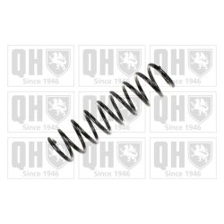 Suspension Spring QUINTON HAZELL QCS7487 OE Ref 33531093634