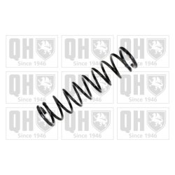 Suspension Spring QUINTON HAZELL QCS7566 OE Ref 60665036