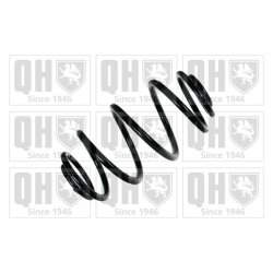 Suspension Spring QUINTON HAZELL QCS7594 OE Ref 09195677