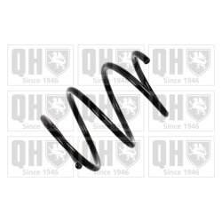 Suspension Spring QUINTON HAZELL QCS7602 OE Ref 31336759383