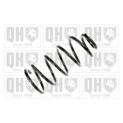 Suspension Spring QUINTON HAZELL QCS7637 OE Ref 551013E030