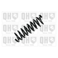 Suspension Spring QUINTON HAZELL QCS7641 OE Ref 2093240204