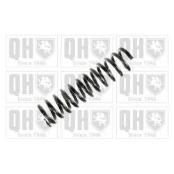 Suspension Spring QUINTON HAZELL QCS7644 OE Ref 1243212104