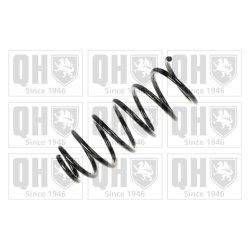 Suspension Spring QUINTON HAZELL QCS7656 OE Ref 357411105P
