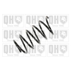 Suspension Spring QUINTON HAZELL QCS7658 OE Ref 7700821317 QUINTON HAZELL