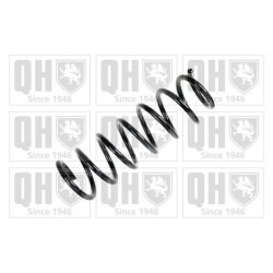 Suspension Spring QUINTON HAZELL QCS7672 OE Ref 33536763055