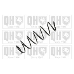 Suspension Spring QUINTON HAZELL QCS7678 OE Ref 50700523 QUINTON HAZELL