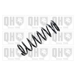 Suspension Spring QUINTON HAZELL QCS7681 OE Ref N02128011