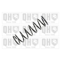 Suspension Spring QUINTON HAZELL QCS7685 OE Ref 1032119 QUINTON HAZELL