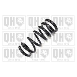 Suspension Spring QUINTON HAZELL QCS7701 OE Ref MR418515 QUINTON HAZELL