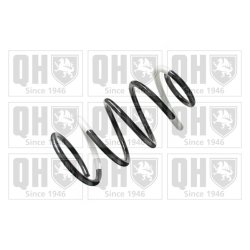 Suspension Spring QUINTON HAZELL QCS7706 OE Ref CG2534011