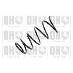 Suspension Spring QUINTON HAZELL QCS7736 OE Ref 481310D010