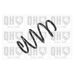 Suspension Spring QUINTON HAZELL QCS7753 OE Ref 1K0411105GS