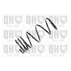 Suspension Spring QUINTON HAZELL QCS7763 OE Ref E01628011