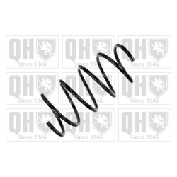 Suspension Spring QUINTON HAZELL QCS7786 OE Ref 31331092653