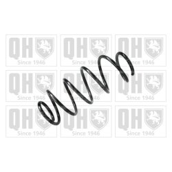 Suspension Spring QUINTON HAZELL QCS7789 OE Ref 50704502